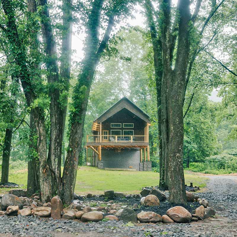 Cabin and back yard framed by trees and landscaping.