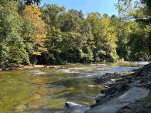 Parsons Riverside Retreat upstream view of the Shavers Fork of the Cheat River from back yard.