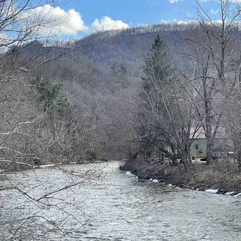Shavers Fork of the Cheat River on a winter day.