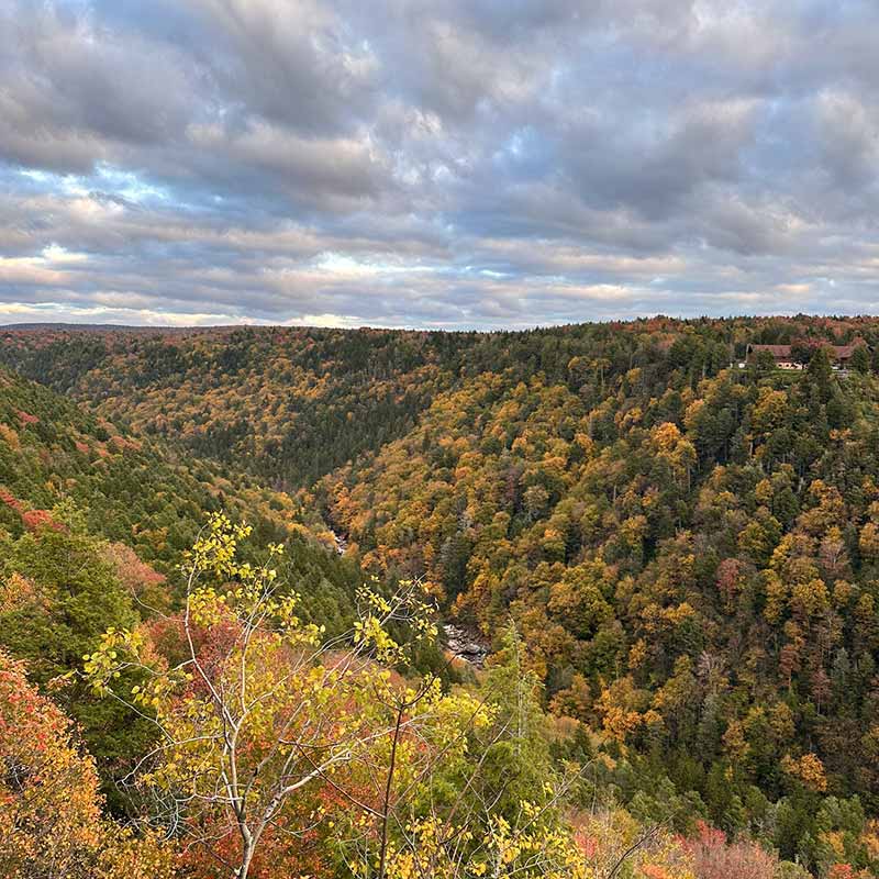 West Virginia mountain landscape with autumn colors.