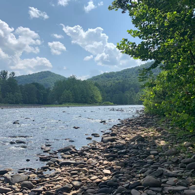 Cheat River viewed from rocky bank with lush green forest and blue sky.