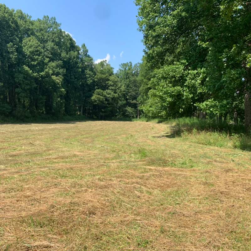 Example of lot for sale with mowed field surrounded by forest.